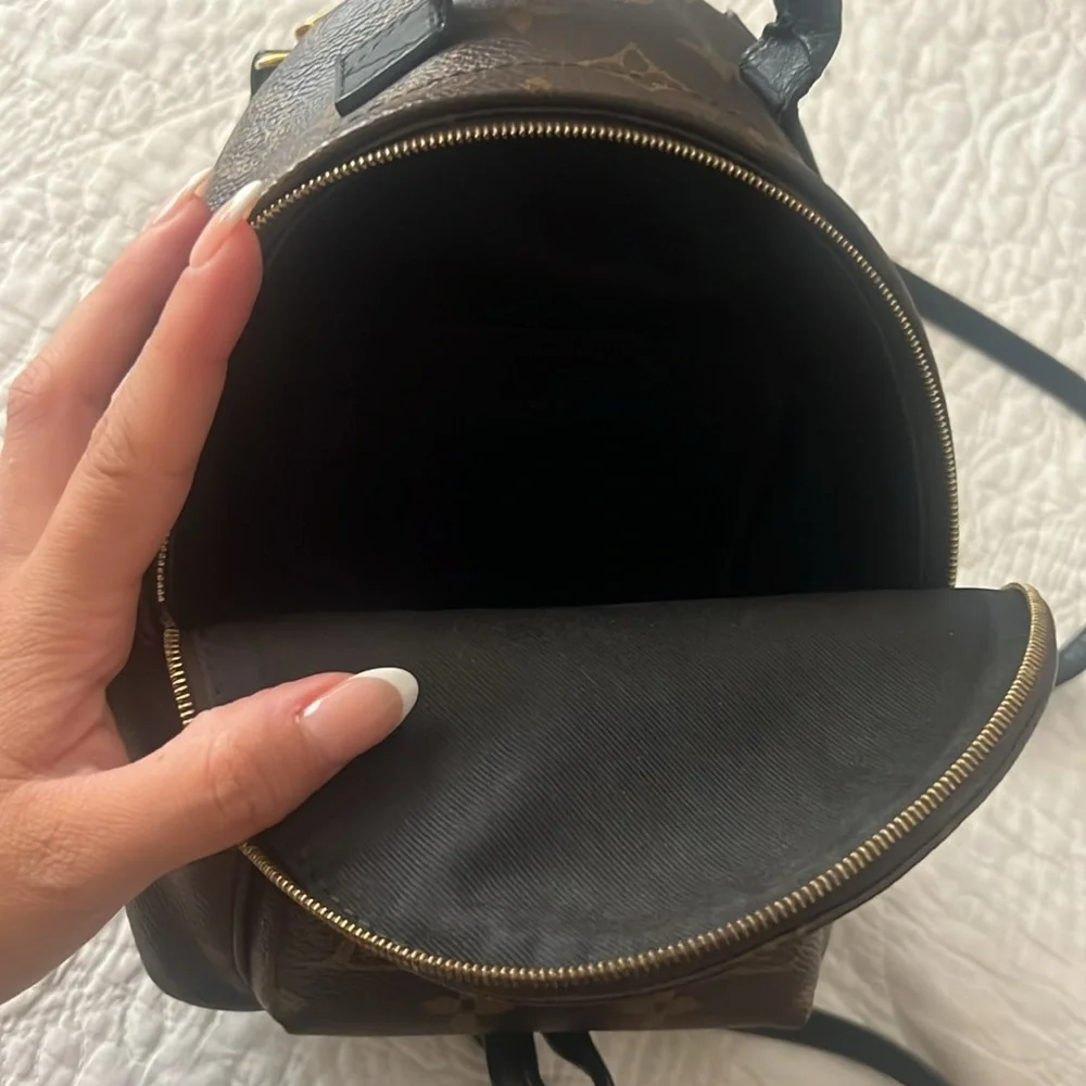 Louis Vuitton Palm Springs Mini